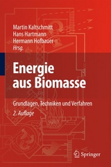 Energie aus Biomasse - 