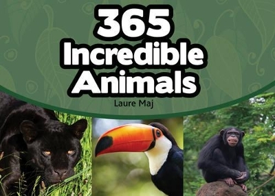 365 Incredible Animals - Laure Maj