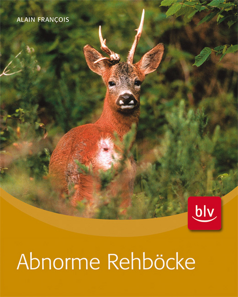 Abnorme Rehb&ouml;cke - Alain Fran&ccedil;ois