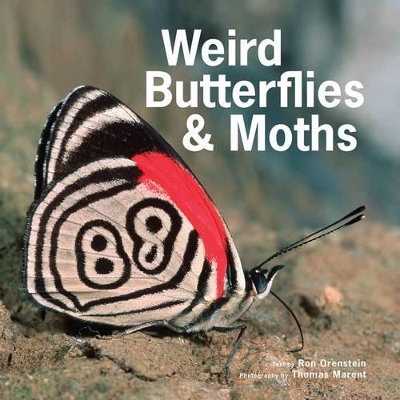 Weird Butterflies and Moths - Ronald Orenstein