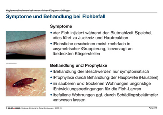 Hygienemaßnahmen bei menschlichen Körperschädlingen