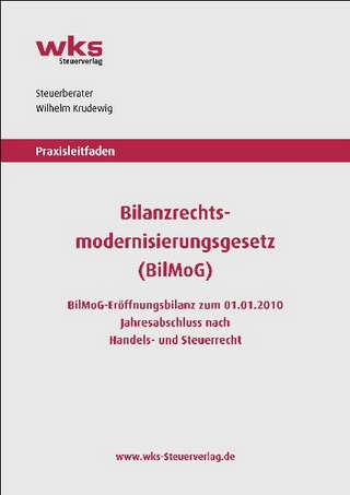Praxisleitfaden Bilanzrechtsmodernisierungsgesetz (BilMoG)