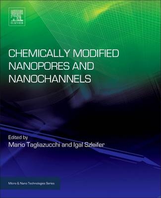Chemically Modified Nanopores and Nanochannels - 