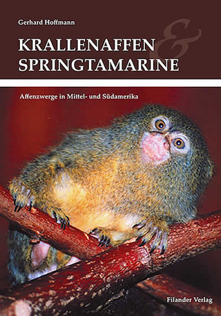 Krallenaffen & Springtamarine