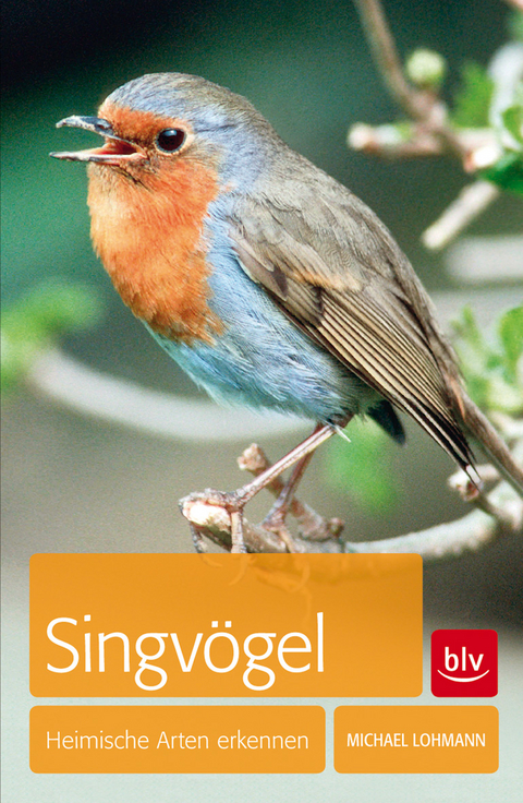 Singv&ouml;gel - Michael Lohmann