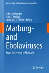 Marburg- and Ebolaviruses - 