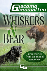 Whiskers and Bear -  Giacomo Giammatteo
