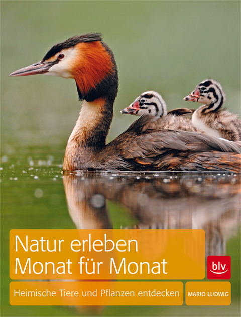 Natur erleben Monat f&uuml;r Monat - Mario Ludwig