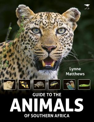 The Guide to the animals of Southern Africa - Lynne Matthews