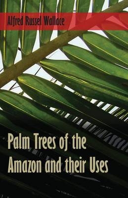 Palm Trees of the Amazon and Their Uses - Alfred Russel Wallace