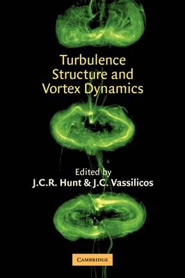 Turbulence Structure and Vortex Dynamics - 