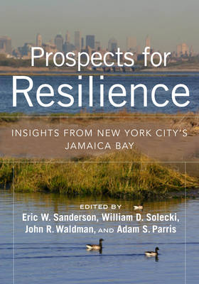 Prospects for Resilience