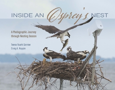 Inside an Osprey's Nest - Teena Ruark Gorrow, Craig Koppie