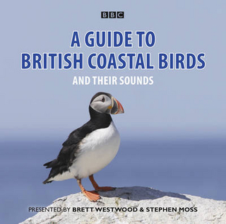 A Guide To British Coastal Birds