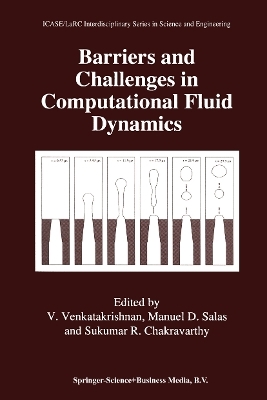 Barriers and Challenges in Computational Fluid Dynamics - 