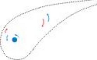 Hubble Expansion and Background Microwave Radiation Described within Steady State Concept of Universal Physics