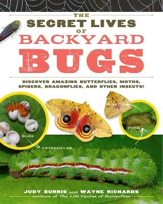 The Secret Lives of Backyard Bugs - Judy Burris, Wayne Richards