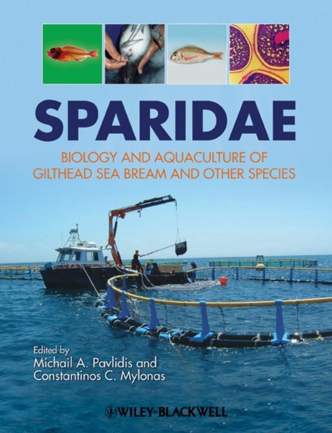 Sparidae - 