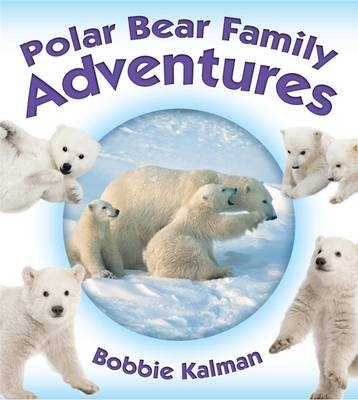 Polar Bear Family Adventures - Bobbie Kalman