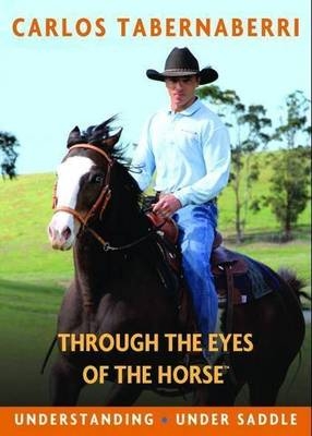 Understanding Under Saddle - Carlos Tabernaberri