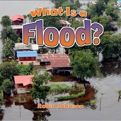 What Is a Flood? - Robin Johnson