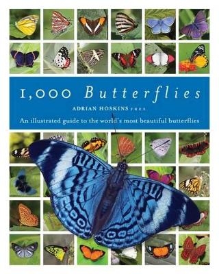 1000 Butterflies - Adrian Hoskins