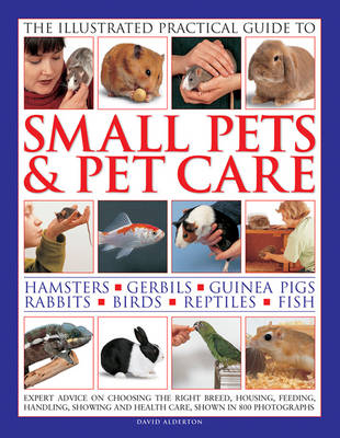 Illustrated Practical Guide to Small Pets & Pet Care -  Alderton David