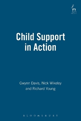 Child Support in Action - Gwynn Davis, Nicholas Wikeley, Richard Young