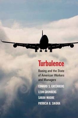 Turbulence - Edward S. Greenberg, Leon Grunberg, Sarah Moore, Patricia B. Sikora
