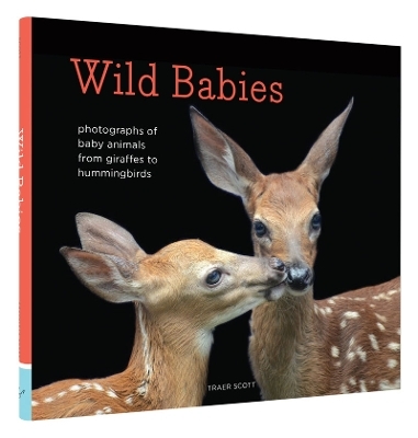 Wild Babies - Traer Scott