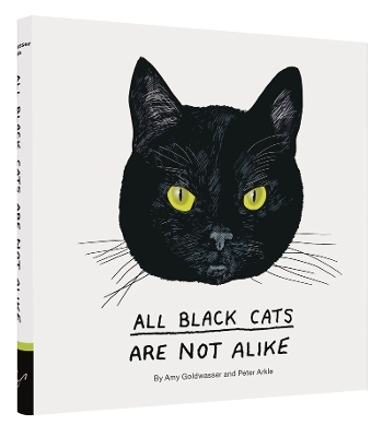 All Black Cats are Not Alike - Amy Goldwasser