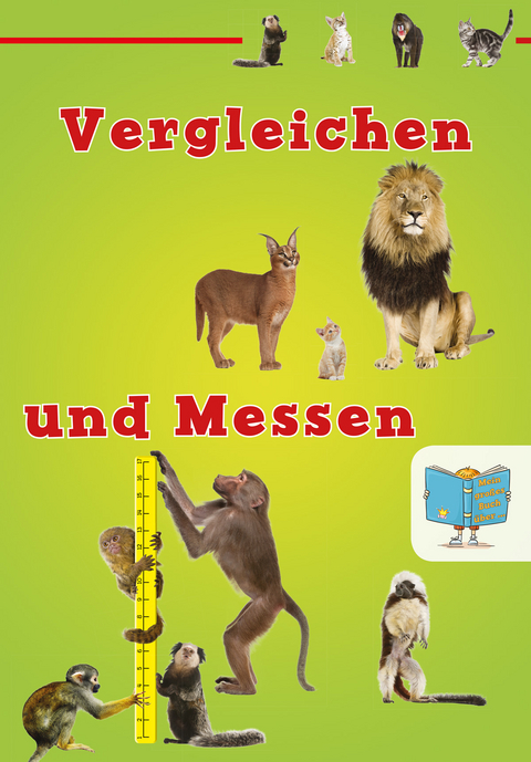 Vergleichen und Messen - Tracey Steffora