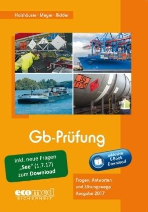 Gb-Pr&uuml;fung inklusive E-Book - J&ouml;rg Holzh&auml;user, Klaus Ridder, Irena Meyer