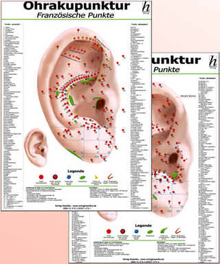Ohrakupunktur Poster-Set: chinesiche + französische Ohrakupunktur / 2 Poster DIN A2