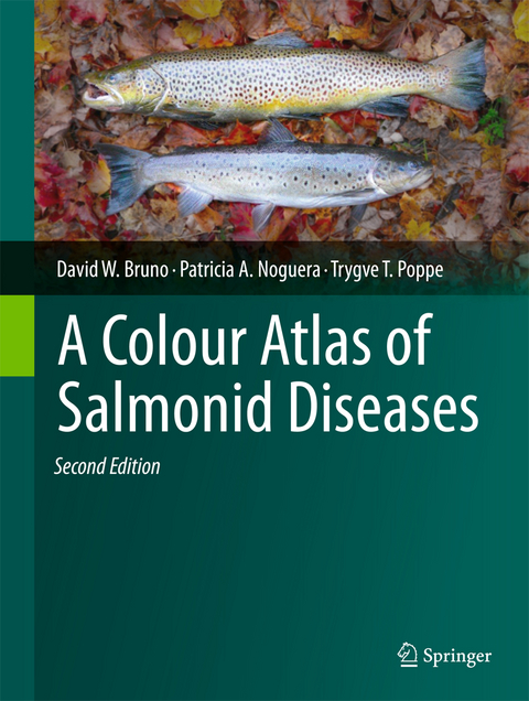 A Colour Atlas of Salmonid Diseases - David W. Bruno, Patricia A. Noguera, Trygve T. Poppe