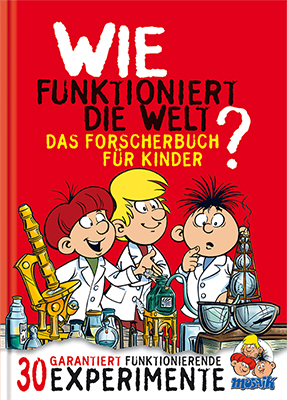 Wie funktioniert die Welt? -  Mosaik Team