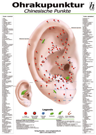 Ohrakupunktur-Poster - chinesische Punkte DIN A2