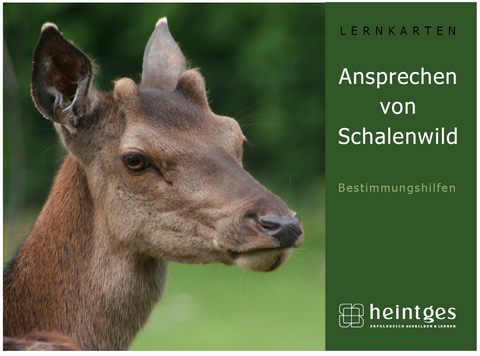 Lernkarten Ansprechen von Schalenwild - 