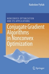 Conjugate Gradient Algorithms in Nonconvex Optimization - Radoslaw Pytlak