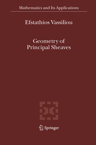 Geometry of Principal Sheaves