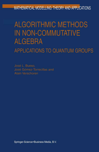 Algorithmic Methods in Non-Commutative Algebra