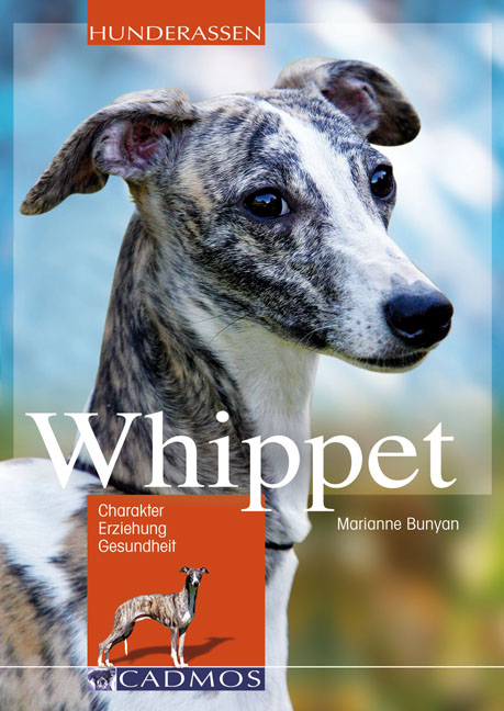 Whippet - Marianne Bunyan