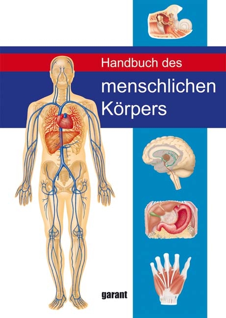 Handbuch des Menschlichen K&ouml;rpers