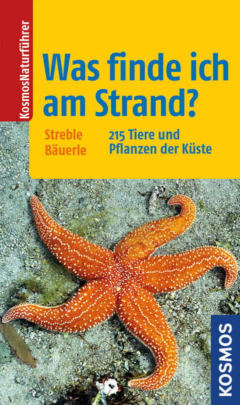 Was finde ich am Strand? - Annegret B&auml;uerle, Heinz Streble