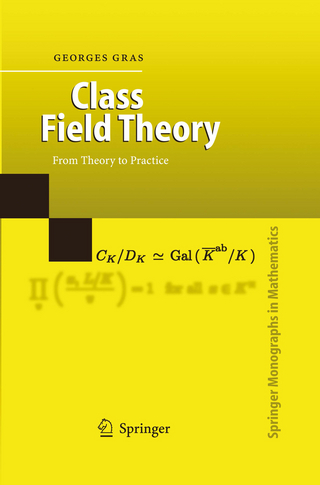 Class Field Theory