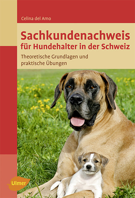 Sachkundenachweis für Hundehalter in der Schweiz - Celina Del Amo