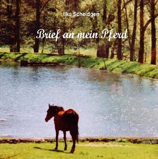 Brief an mein Pferd