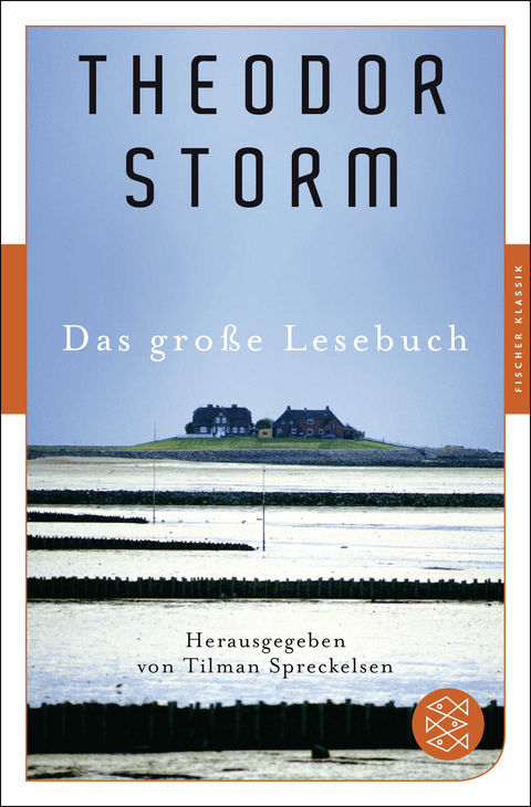 Das gro&szlig;e Lesebuch - Theodor Storm