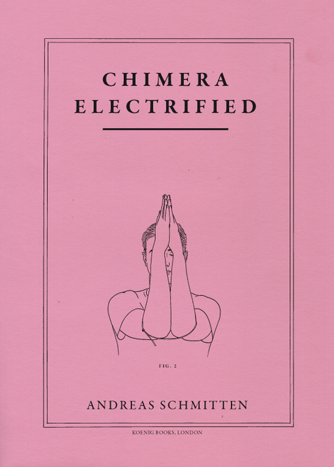 Andreas Schmitten. Chimera electrified