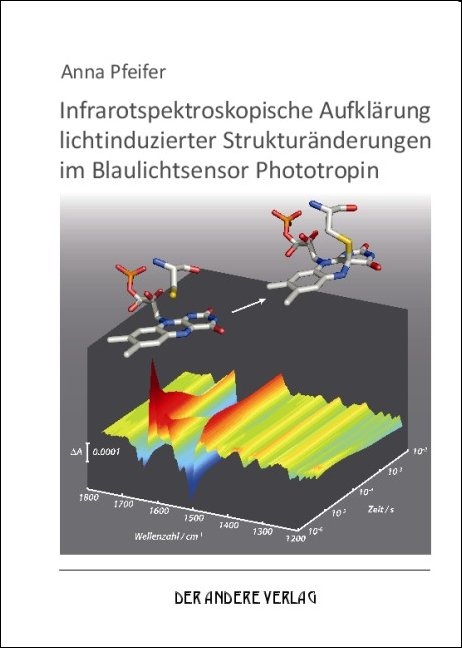 Infrarotspektroskopische Aufkl&auml;rung lichtinduzierter Struktur&auml;nderungen im Blaulichtsensor Phototropin - Anna Pfeifer